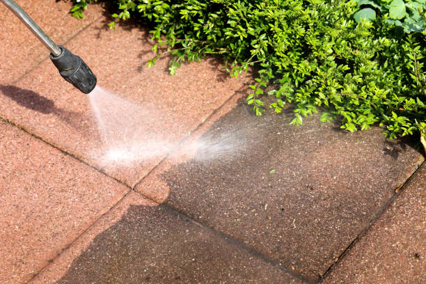 Best Exterior Home Cleaning  in Lorane, PA